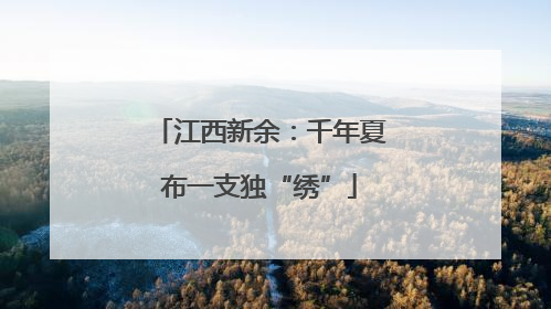 江西新余：千年夏布一支独“绣”
