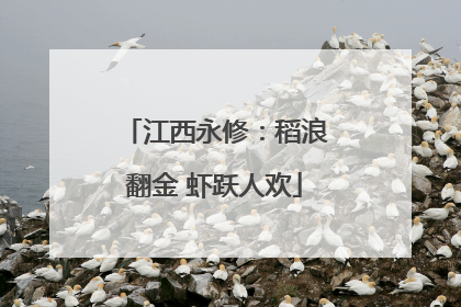江西永修：稻浪翻金 虾跃人欢