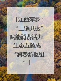 江西萍乡：“三链共振”赋能消费活力 生态五陂成“消费新枢纽”