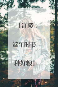 江陵：端午时节种好粮