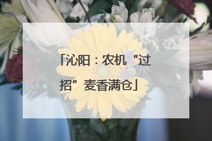 沁阳：农机“过招”麦香满仓