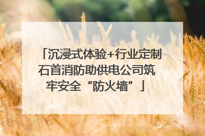 沉浸式体验+行业定制 石首消防助供电公司筑牢安全“防火墙”
