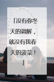 没有你冬天的调解，就没有我春天的菠菜！