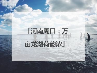 河南周口：万亩龙湖荷韵浓
