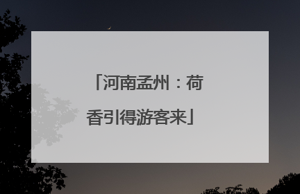河南孟州：荷香引得游客来