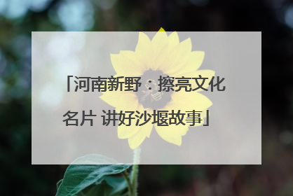 河南新野：擦亮文化名片 讲好沙堰故事