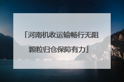 河南机收运输畅行无阻 颗粒归仓保障有力