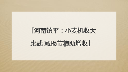 河南镇平：小麦机收大比武 减损节粮助增收