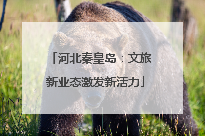 河北秦皇岛：文旅新业态激发新活力
