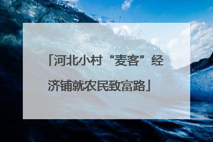 河北小村“麦客”经济铺就农民致富路