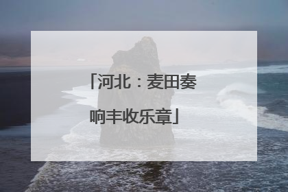 河北：麦田奏响丰收乐章