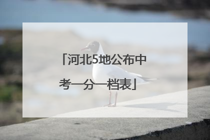 河北5地公布中考一分一档表