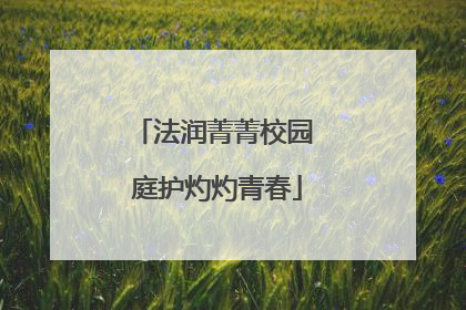 法润菁菁校园 庭护灼灼青春