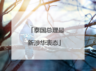 泰国总理最新涉华表态