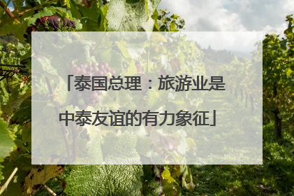 泰国总理：旅游业是中泰友谊的有力象征