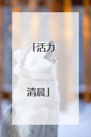 活力清晨