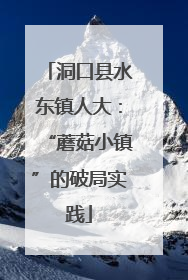 洞口县水东镇人大：“蘑菇小镇”的破局实践