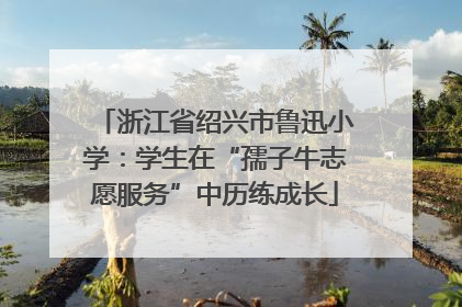 浙江省绍兴市鲁迅小学：学生在“孺子牛志愿服务”中历练成长