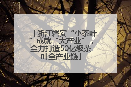 浙江磐安“小茶叶”成就“大产业”，全力打造50亿级茶叶全产业链