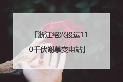 浙江绍兴投运110千伏谢慕变电站