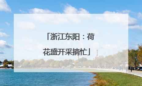浙江东阳：荷花盛开采摘忙