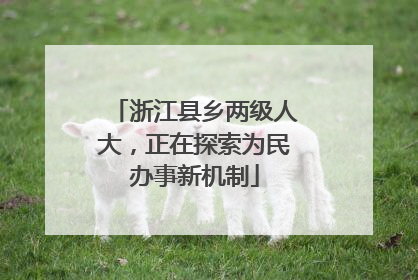 浙江县乡两级人大，正在探索为民办事新机制