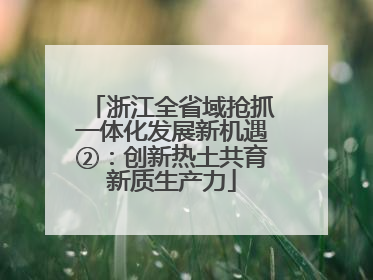 浙江全省域抢抓一体化发展新机遇②：创新热土共育新质生产力