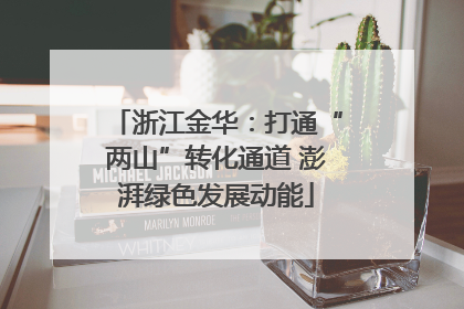 浙江金华：打通“两山”转化通道 澎湃绿色发展动能