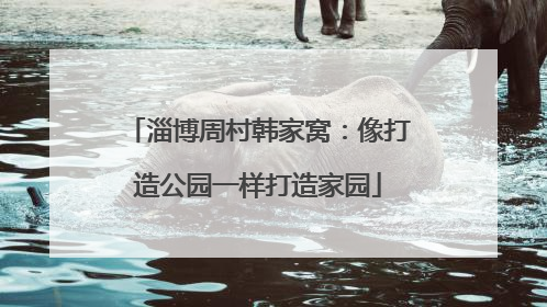 淄博周村韩家窝：像打造公园一样打造家园