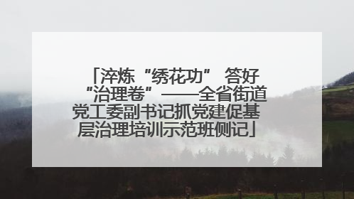 淬炼“绣花功” 答好“治理卷”——全省街道党工委副书记抓党建促基层治理培训示范班侧记