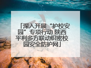 深入开展“护校安园”专项行动 陕西平利多方联动织密校园安全防护网