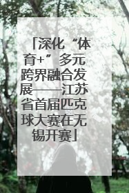 深化“体育+”多元跨界融合发展——江苏省首届匹克球大赛在无锡开赛