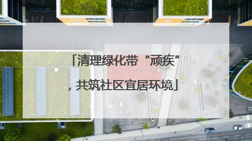清理绿化带“顽疾”，共筑社区宜居环境