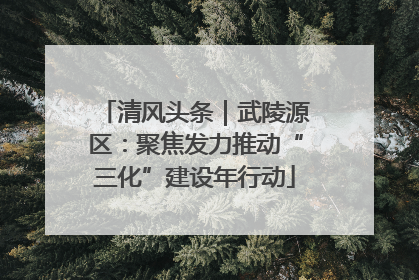 清风头条｜武陵源区：聚焦发力推动“三化”建设年行动