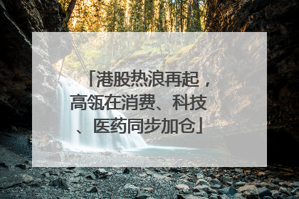 港股热浪再起，高瓴在消费、科技、医药同步加仓