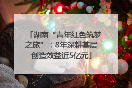 湖南“青年红色筑梦之旅”：8年深耕基层创造效益近5亿元