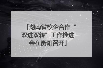湖南省校企合作“双进双转”工作推进会在衡阳召开