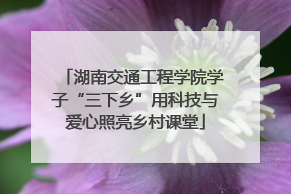 湖南交通工程学院学子“三下乡”用科技与爱心照亮乡村课堂