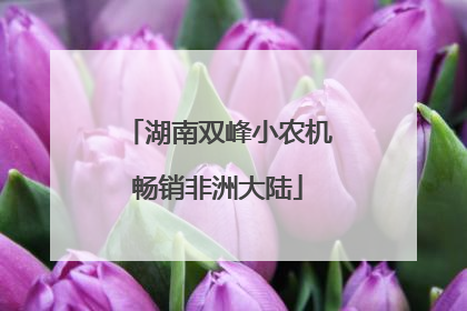 湖南双峰小农机畅销非洲大陆