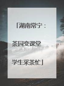 湖南常宁：茶园变课堂 学生采茶忙