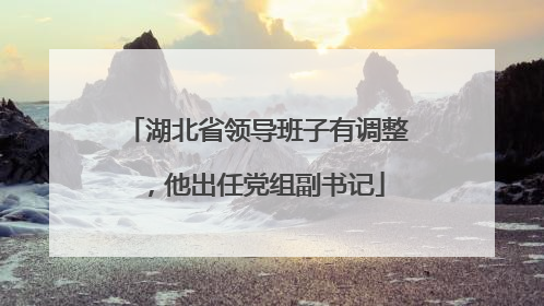 湖北省领导班子有调整，他出任党组副书记