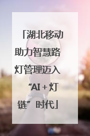 湖北移动助力智慧路灯管理迈入“AI＋灯链”时代