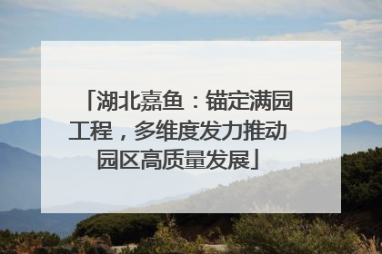 湖北嘉鱼：锚定满园工程，多维度发力推动园区高质量发展