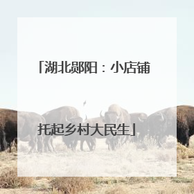 湖北郧阳：小店铺托起乡村大民生