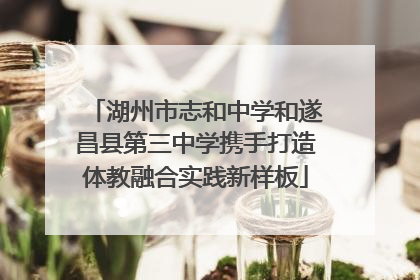湖州市志和中学和遂昌县第三中学携手打造体教融合实践新样板