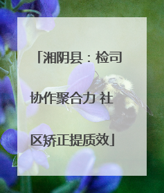 湘阴县：检司协作聚合力 社区矫正提质效