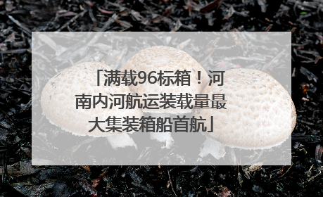 满载96标箱！河南内河航运装载量最大集装箱船首航