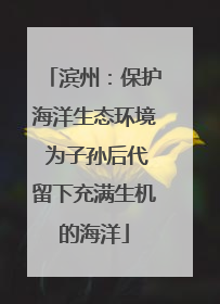 滨州：保护海洋生态环境 为子孙后代留下充满生机的海洋
