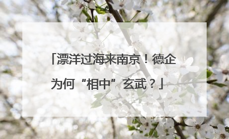 漂洋过海来南京！德企为何“相中”玄武？