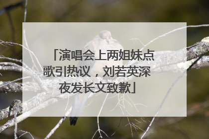 演唱会上两姐妹点歌引热议，刘若英深夜发长文致歉